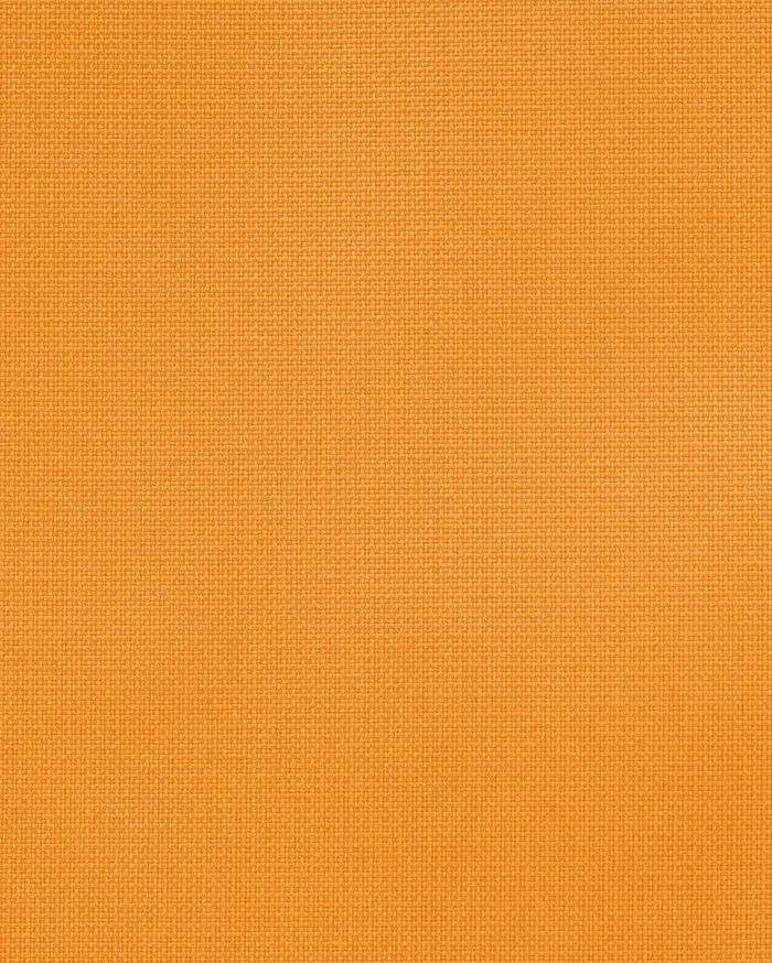 All Sports Women Nike Nike Vivid Orangevivid Orangebright Cactus