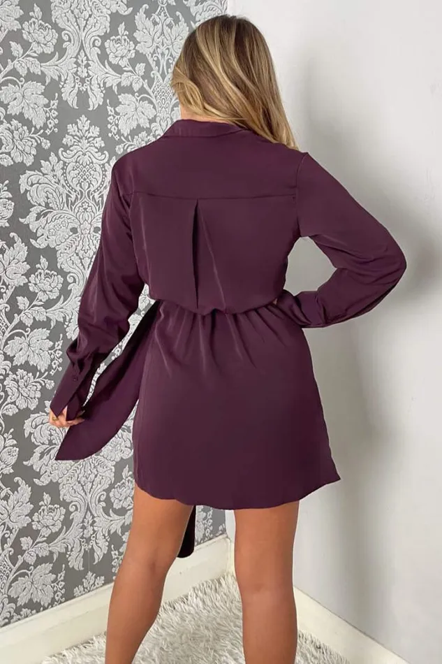 AX Paris Dresses Plum Tie Wrap Long Sleeve Mini Dress