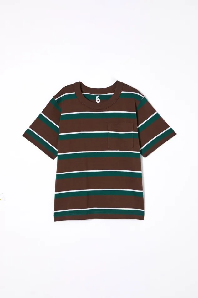 Boys Tops and TShirts Cotton On The Essential Short Sleeve Tee Hot Choccypine Tree Greenwhite Stripe Boys Tops and TShirts Cotton On The Essential Short Sleeve Tee Hot Choccypine Tree Greenwhite Stripe