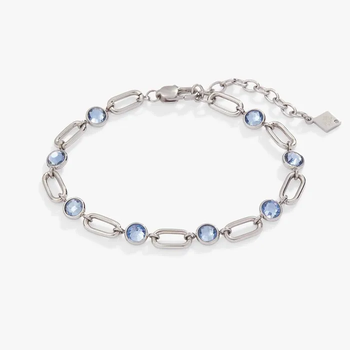 Bracelets Women Alex And Ani Crystal And Paperclip Adjustable Chain Bracelet Stainless Steel Gold Bracelets Women Alex And Ani Crystal And Paperclip Adjustable Chain Bracelet Stainless Steel Gold