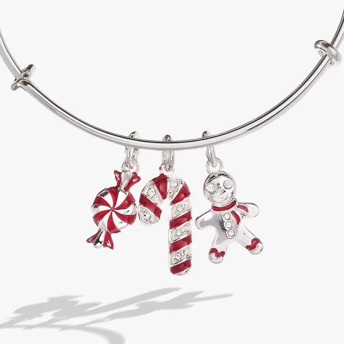 Bracelets Women Alex And Ani Holiday Candy Cane Charm Bangle Shiny Silver