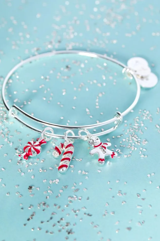 Bracelets Women Alex And Ani Holiday Candy Cane Charm Bangle Shiny Silver