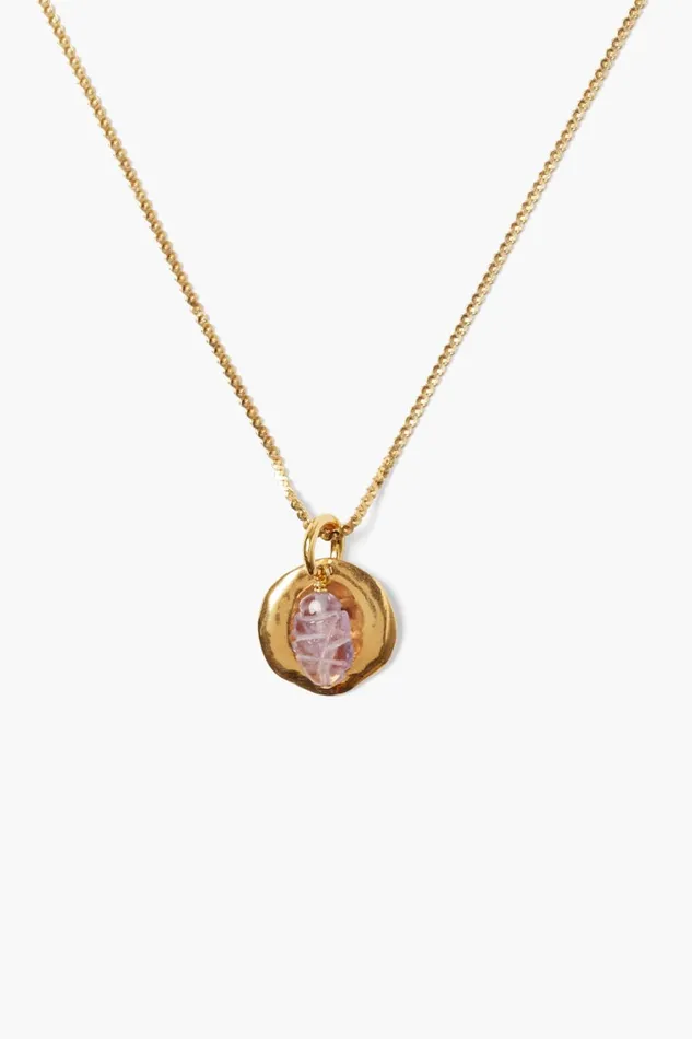 Chan Luu Necklaces Women Paz Coin Necklace Amethyst