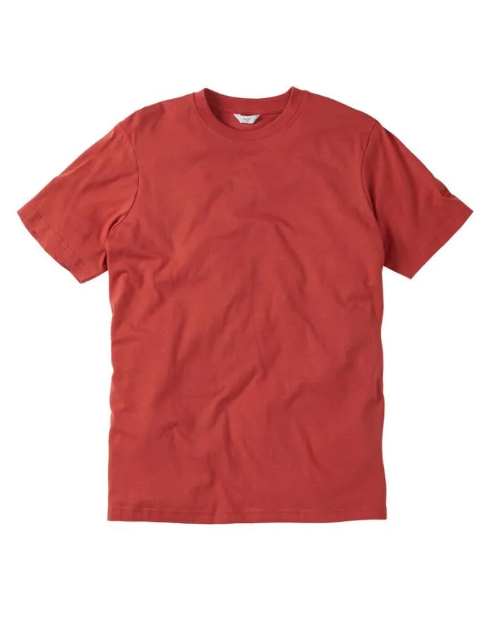 Cotton Traders Tops and TShirts Crew Neck TShirt 8211 WomenMenUnisex