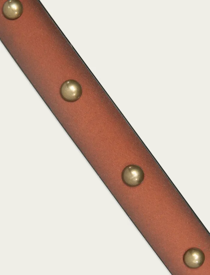 Dome Studded Leather Belt Medium Brown Women Lucky Brand Belts