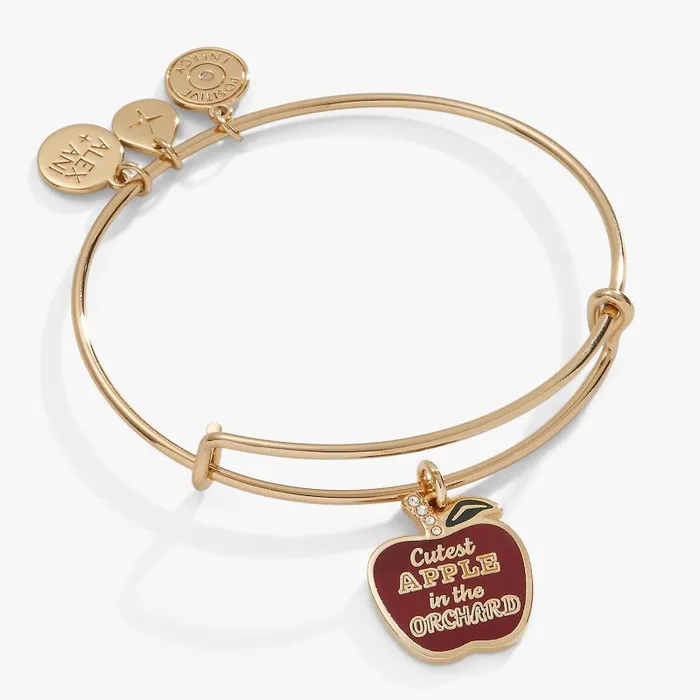 Iconic Women Alex And Ani Apple Orchard Charm Bangle Gold