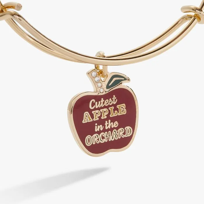 Iconic Women Alex And Ani Apple Orchard Charm Bangle Gold