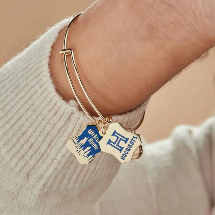 Iconic Women Alex And Ani Harry Potter Hogwarts Welcome Home Slider Charm Bangle Shiny Gold