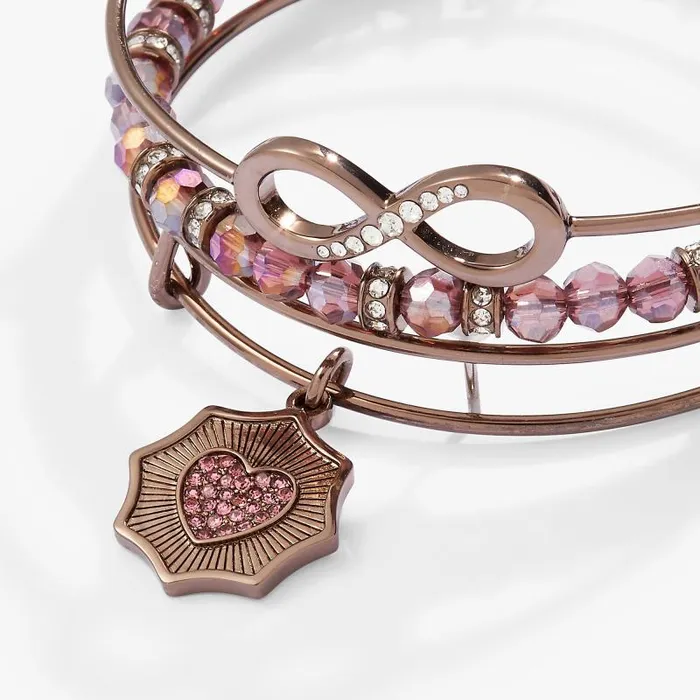 Iconic Women Alex And Ani Love Charm Bangle Set Of 3 Chocolate