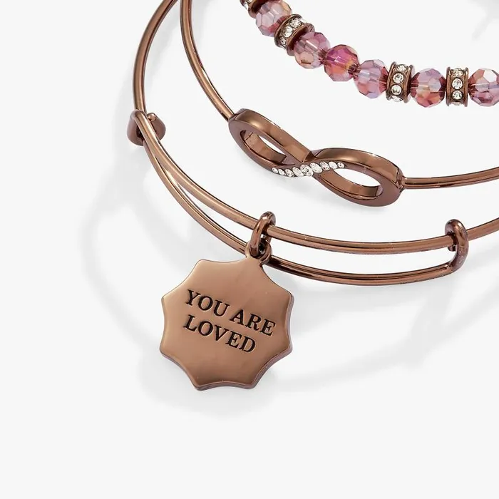 Iconic Women Alex And Ani Love Charm Bangle Set Of 3 Chocolate