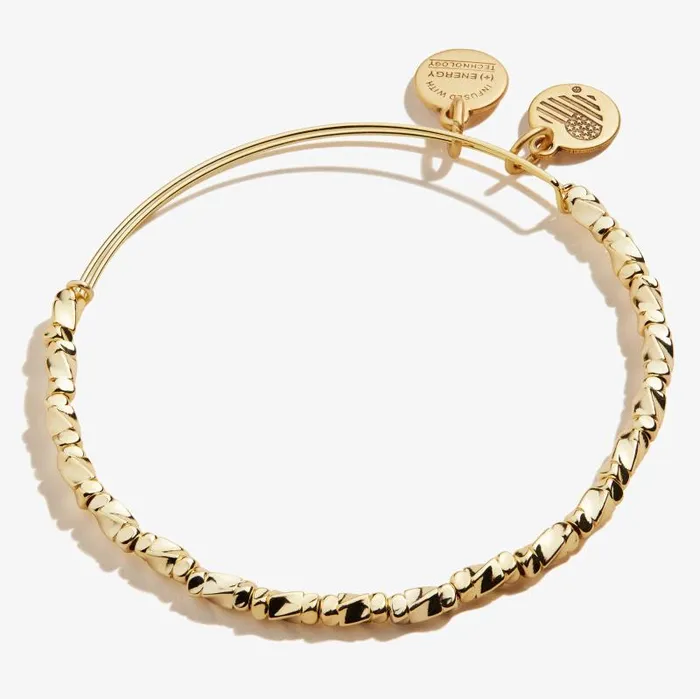 Iconic Women Alex And Ani Majesty Metal Beaded Bangle Silver
