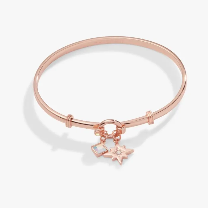 Iconic Women Alex And Ani North Star Crystal Charm Clip Bangle Rose Gold
