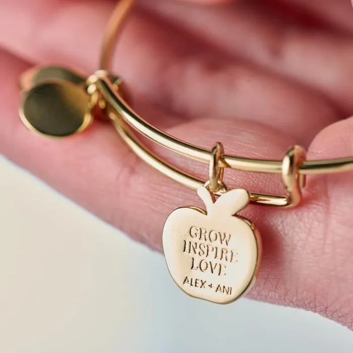 Iconic Women Alex And Ani Teacher Appreciation Charm Bangle Gold