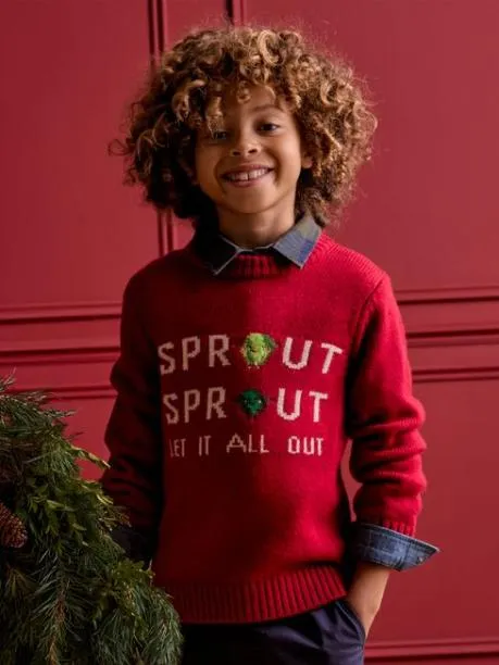 Jumpers and Knitwear Boys Joules Red Intarsia Knitted Festive Jumper