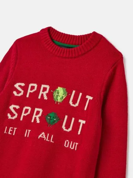 Jumpers and Knitwear Boys Joules Red Intarsia Knitted Festive Jumper