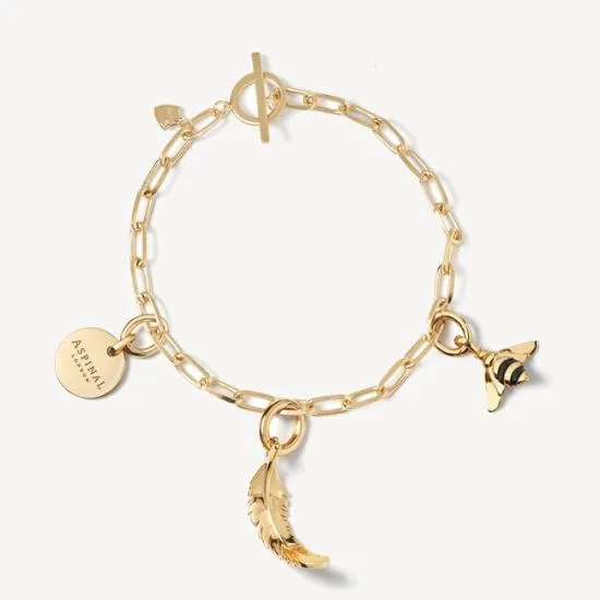Large Disc Necklace and Bracelet Charm 18ct Gold On Sterling Silver Women Aspinal Of London Jewellery Charms