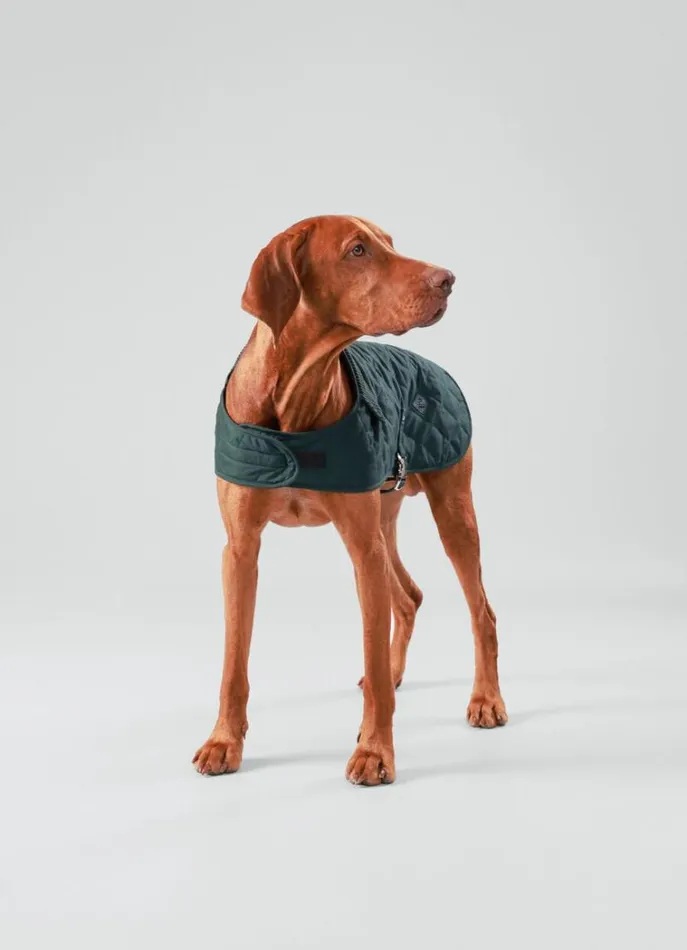 Men Hackett X Hugo and Hudson Hackett London Quilted Jacket For Dogs 8211 Medium Dark Green