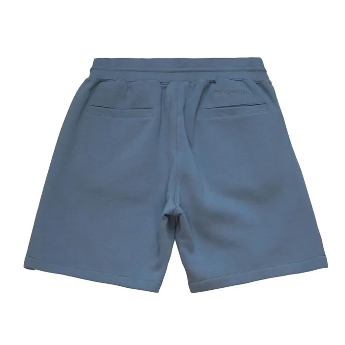 Mitchell and Ness Mitchell and Ness Essentials Shorts Men Shorts