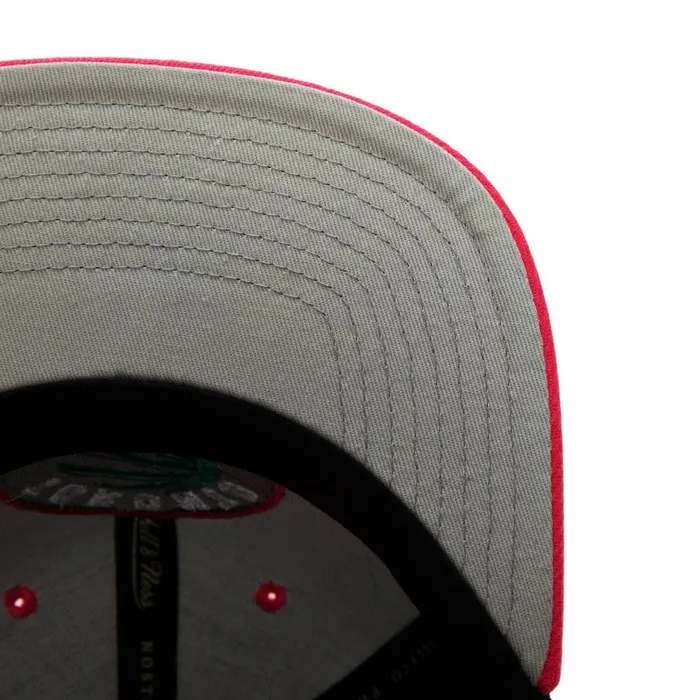 Mitchell and Ness Santa Ana 2Tone Snapback Toronto Raptors Men Hats and Headwear Mitchell and Ness Santa Ana 2Tone Snapback Toronto Raptors Men Hats and Headwear
