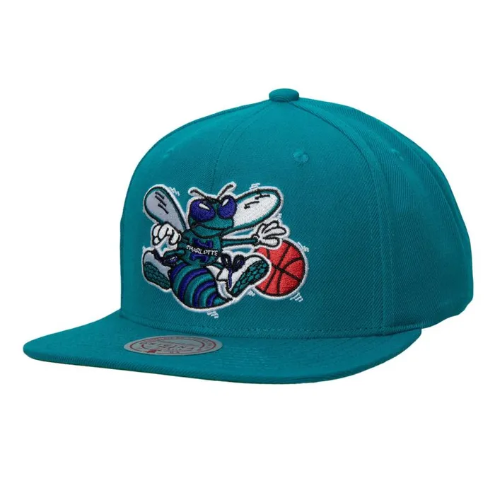 Mitchell and Ness Team Ground 20 Snapback HWC Charlotte Hornets Men Hats and Headwear