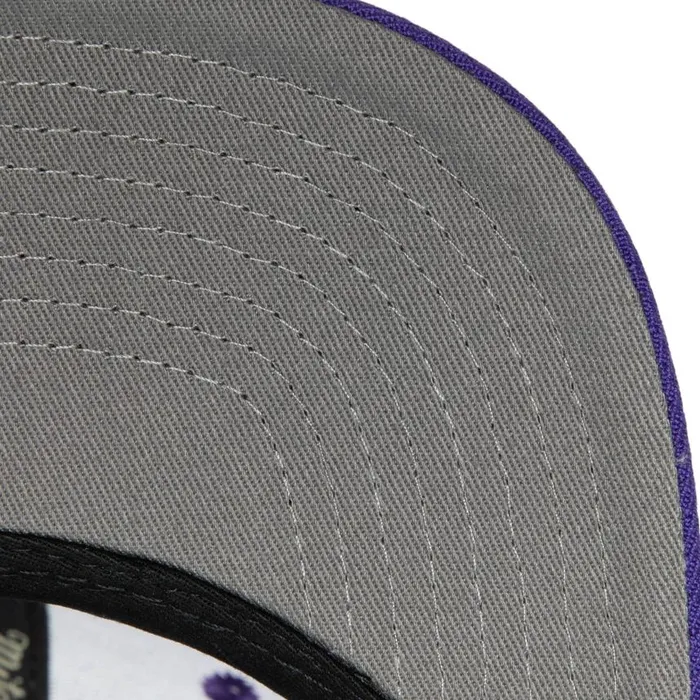 Mitchell and Ness Team Ground 20 Snapback Los Angeles Lakers Men Hats and Headwear