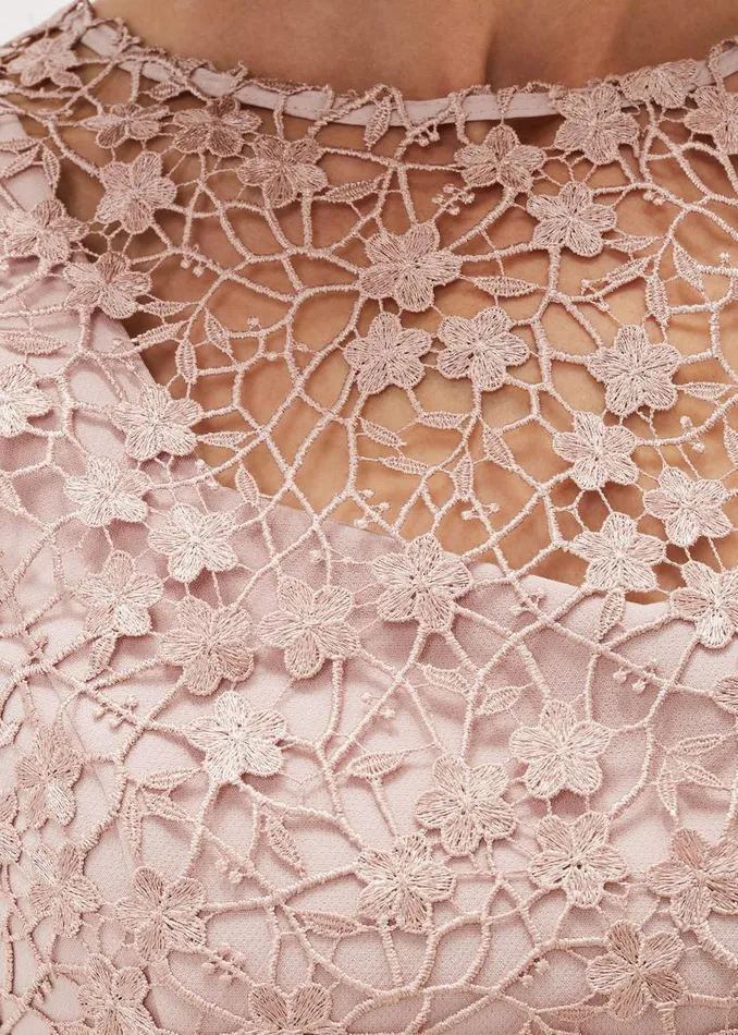 Phase Eight Dresses Mariposa Floral Lace Bodice Dress Antique Rose 8211 Women Phase Eight Dresses Mariposa Floral Lace Bodice Dress Antique Rose 8211 Women