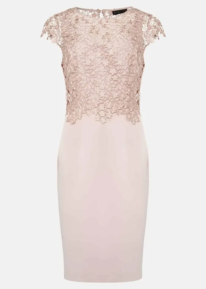 Phase Eight Dresses Mariposa Floral Lace Bodice Dress Antique Rose 8211 Women Phase Eight Dresses Mariposa Floral Lace Bodice Dress Antique Rose 8211 Women