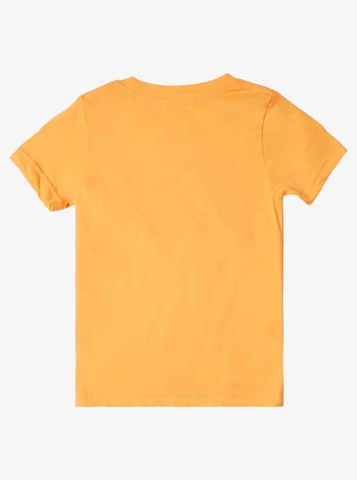 Quiksilver 816 Day Tripper TShirt Tangerine Boys Tees
