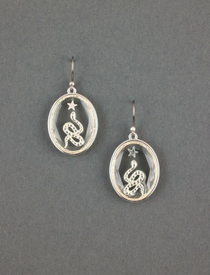 Snake Inlay Glass Earring Silver Women Lucky Brand Jewelry