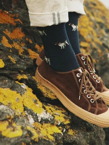 Socks Men Joules NavyCamel 2 Pack Socks Size 712