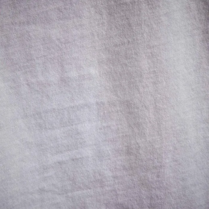 TShirts Men James Perse YOSEMITE Mountain Long Sleeve Crew Neck White