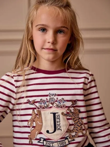 Tops and TShirts Girls Joules Berry Red Stripe Artwork TShirt