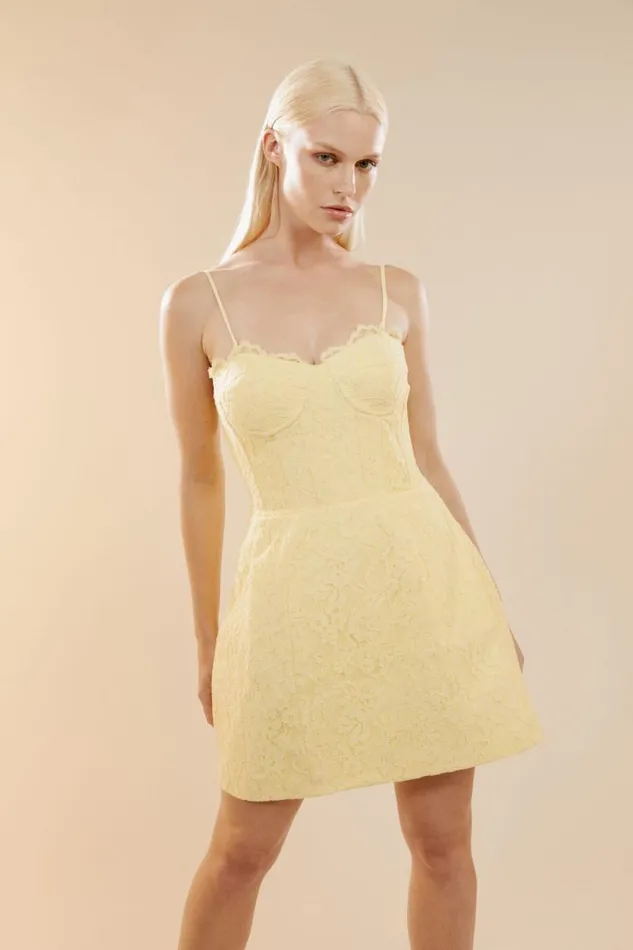 Women Bardot Party Dresses Clarina Lace Mini Dress In Canary Ylw