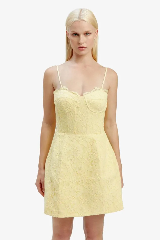 Women Bardot Party Dresses Clarina Lace Mini Dress In Canary Ylw Women Bardot Party Dresses Clarina Lace Mini Dress In Canary Ylw