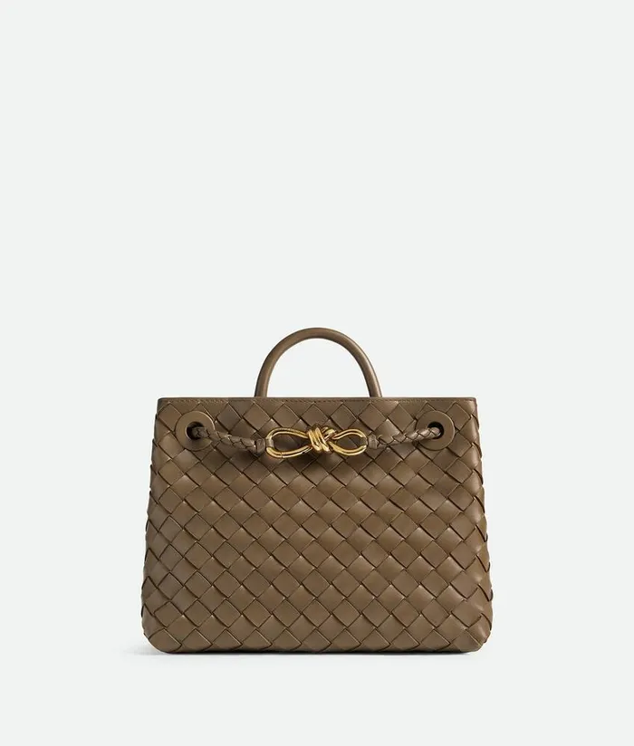 Women Bottega Veneta Crossbody Small Andiamo Pinecone
