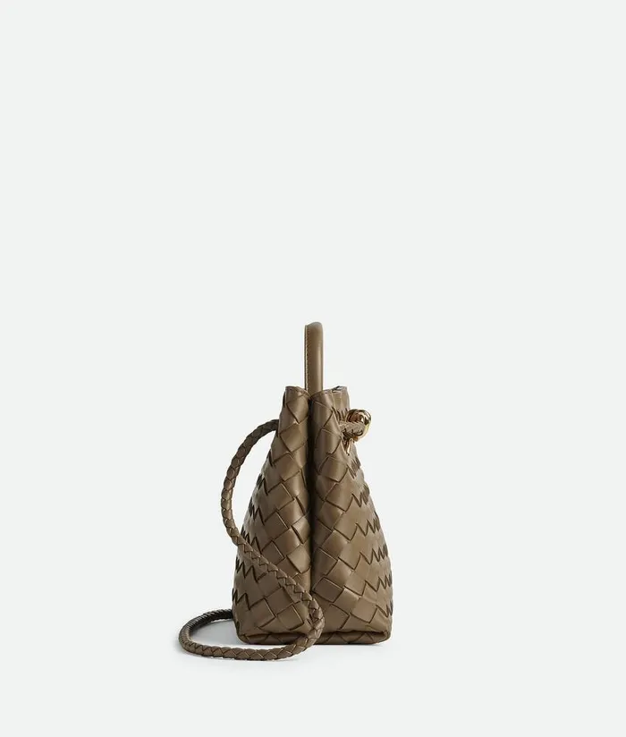 Women Bottega Veneta Crossbody Small Andiamo Pinecone