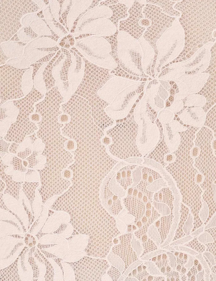 Women Clothing Zimmermann Lace Scoop Bodysuit Pale Pink