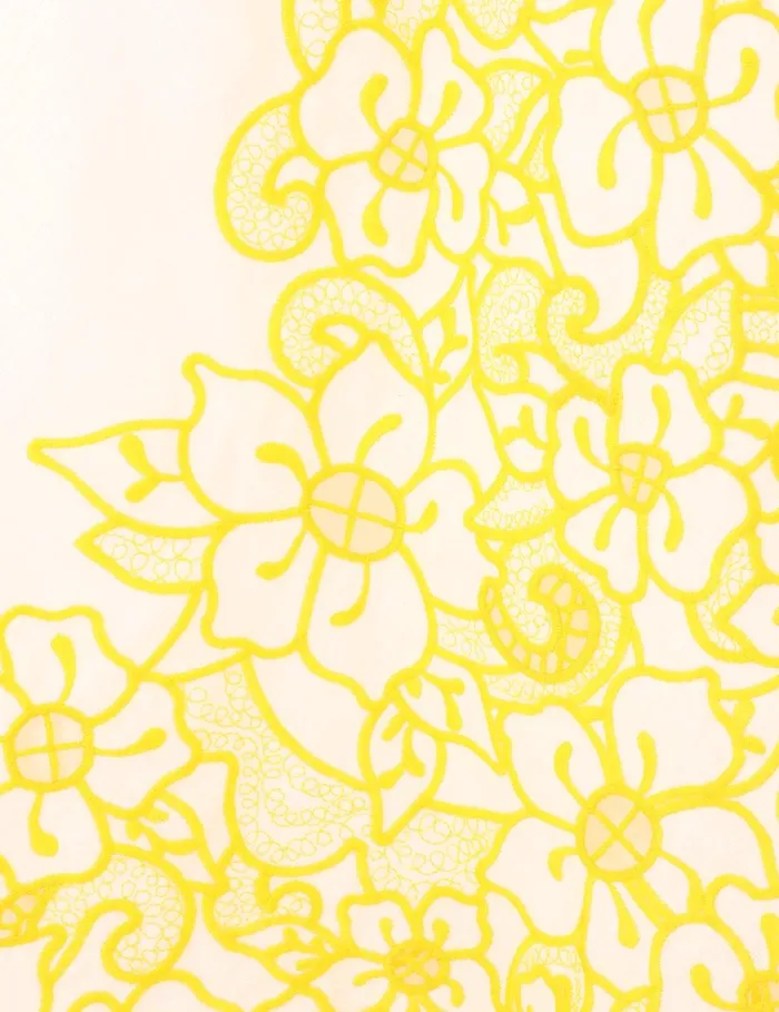Women Dresses and Coverups Zimmermann Golden Embroidered Midi Dress Ivoryyellow
