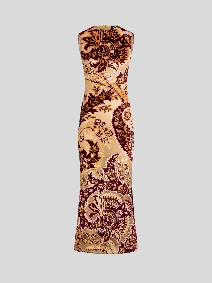 Women Etro Dresses Tulle And Jacquard Velvet Dress Beige