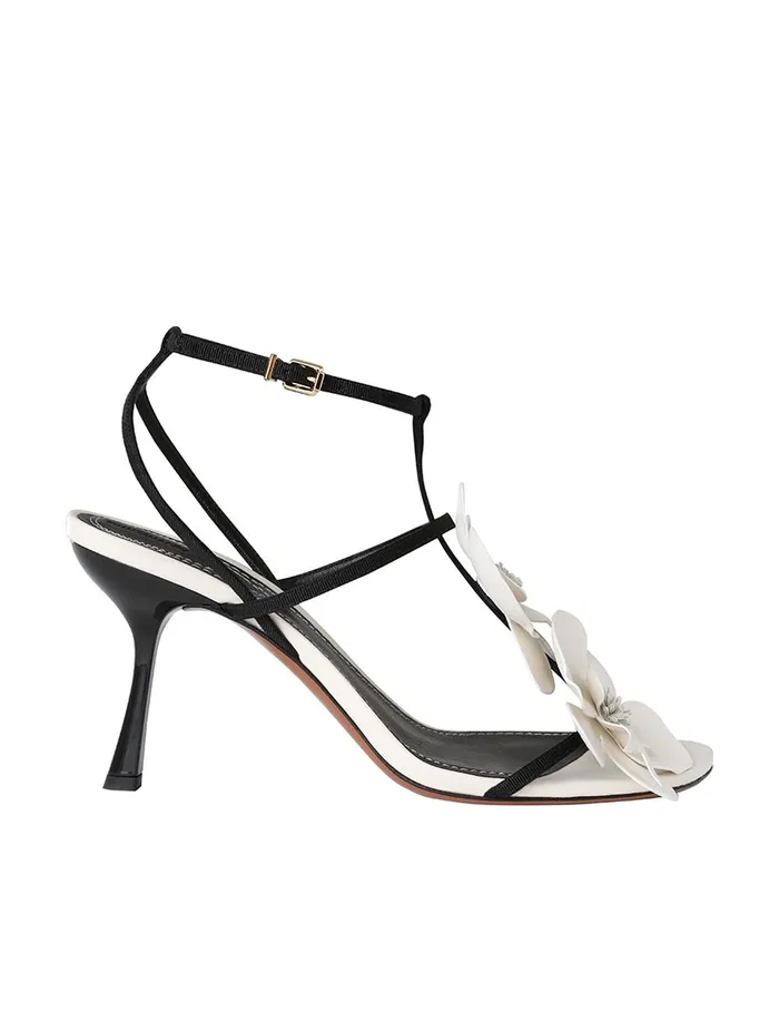 Women Heels Zimmermann Orchid Sandal 85 Macadamia