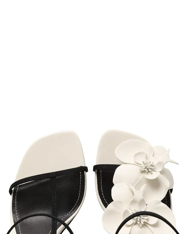 Women Heels Zimmermann Orchid Sandal 85 Macadamia