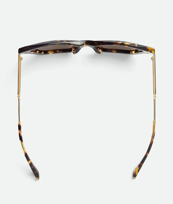 WomenMen Bottega Veneta Sunglasses Classic Acetate Cat Eye Sunglasses Havana Gold Brown