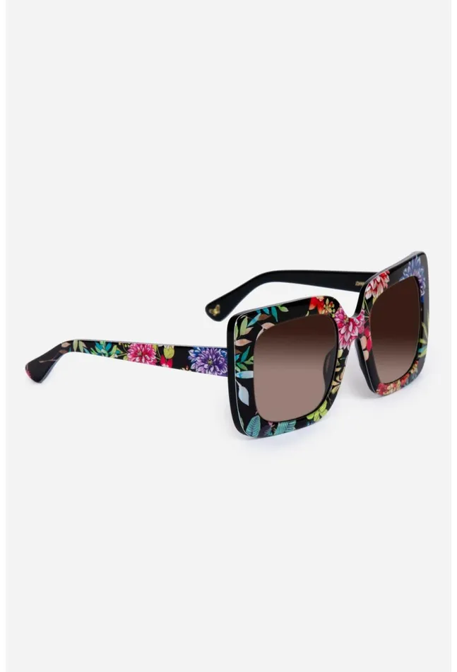 Women Sutton Sunglasses Printed Dreamer Noir Johnny Was Eye Wear