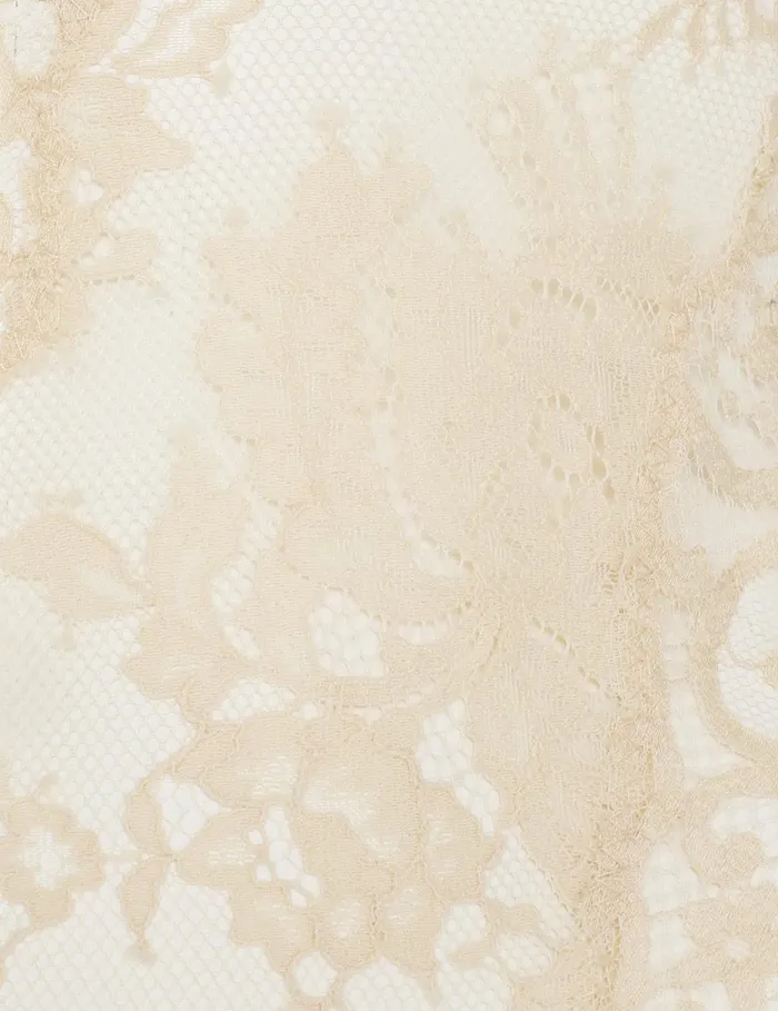 Women Tops Zimmermann Illustration Lace Teddy Cream